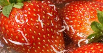 I soaked my strawberries in salt water and these white things wriggled out?