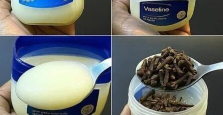 Mix cloves with petroleum jelly: a secret no one will ever tell you. Thank me later.